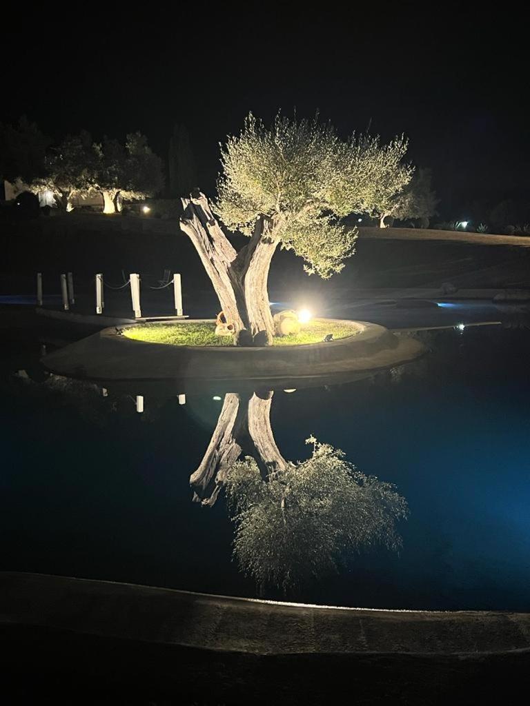 Agriturismo Cerrosughero Canino Exteriér fotografie