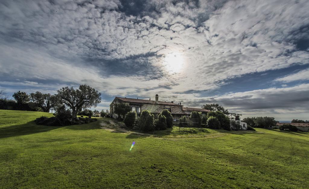 Agriturismo Cerrosughero Canino Exteriér fotografie